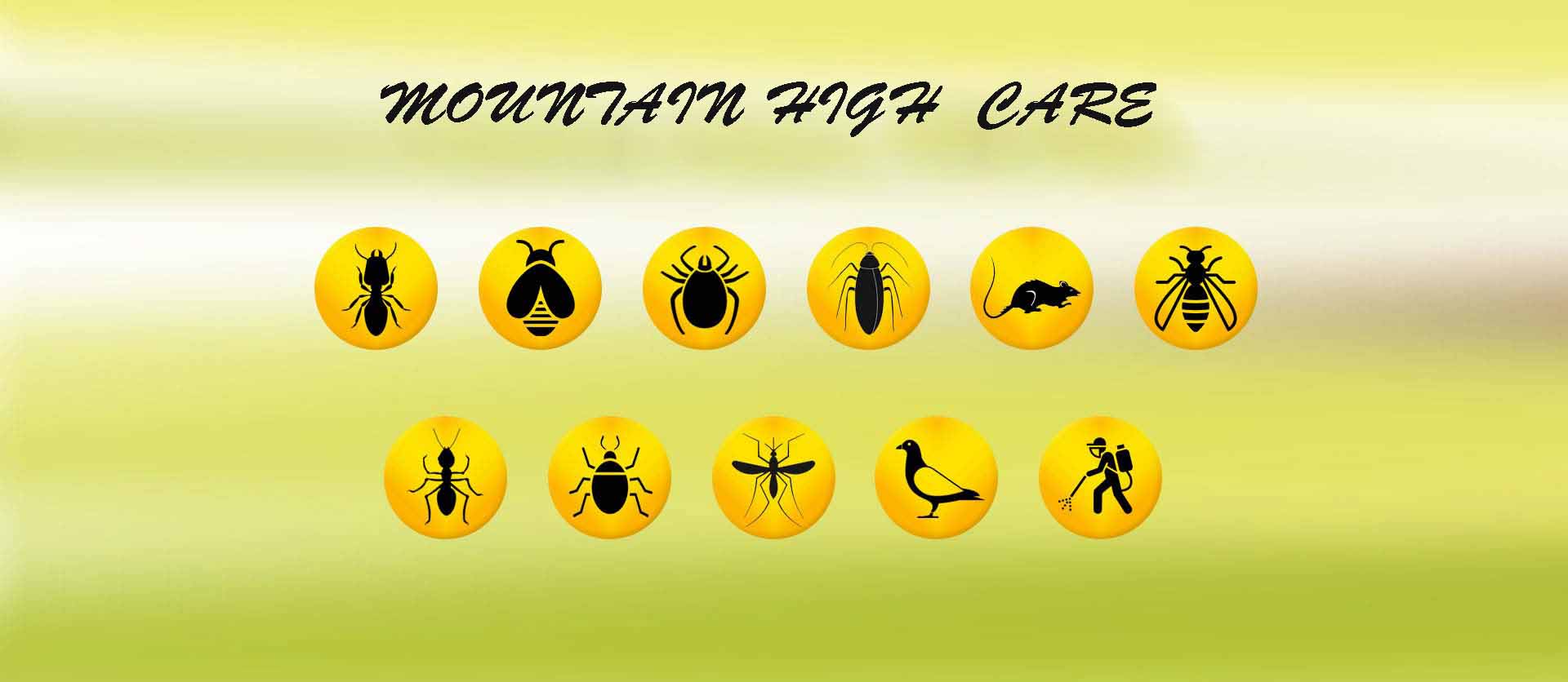 Pest Control Service in Delhi NCR
